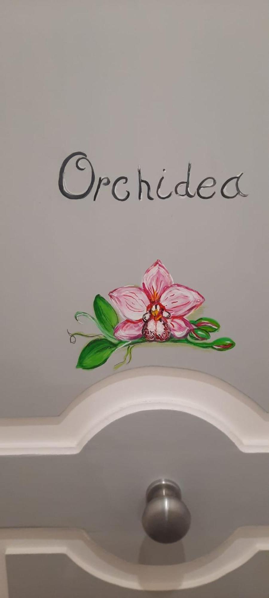 Residenza D'Epoca Tamara Aparthotel Castellabate Ngoại thất bức ảnh